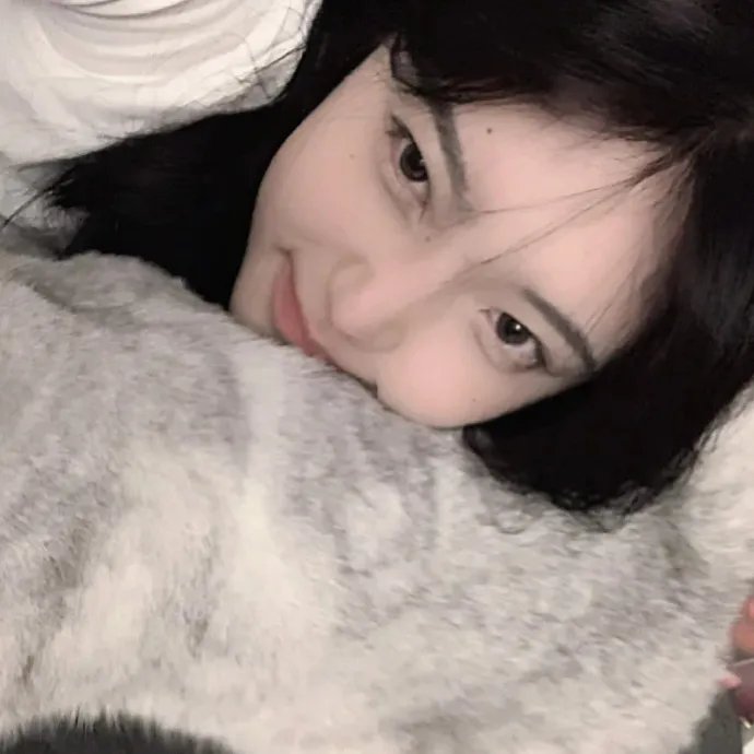 金刀秘卫之婳美人